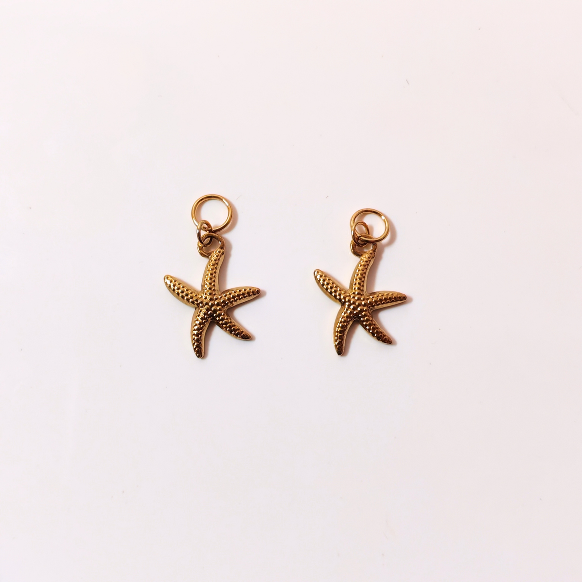 Charms étoile de mer
